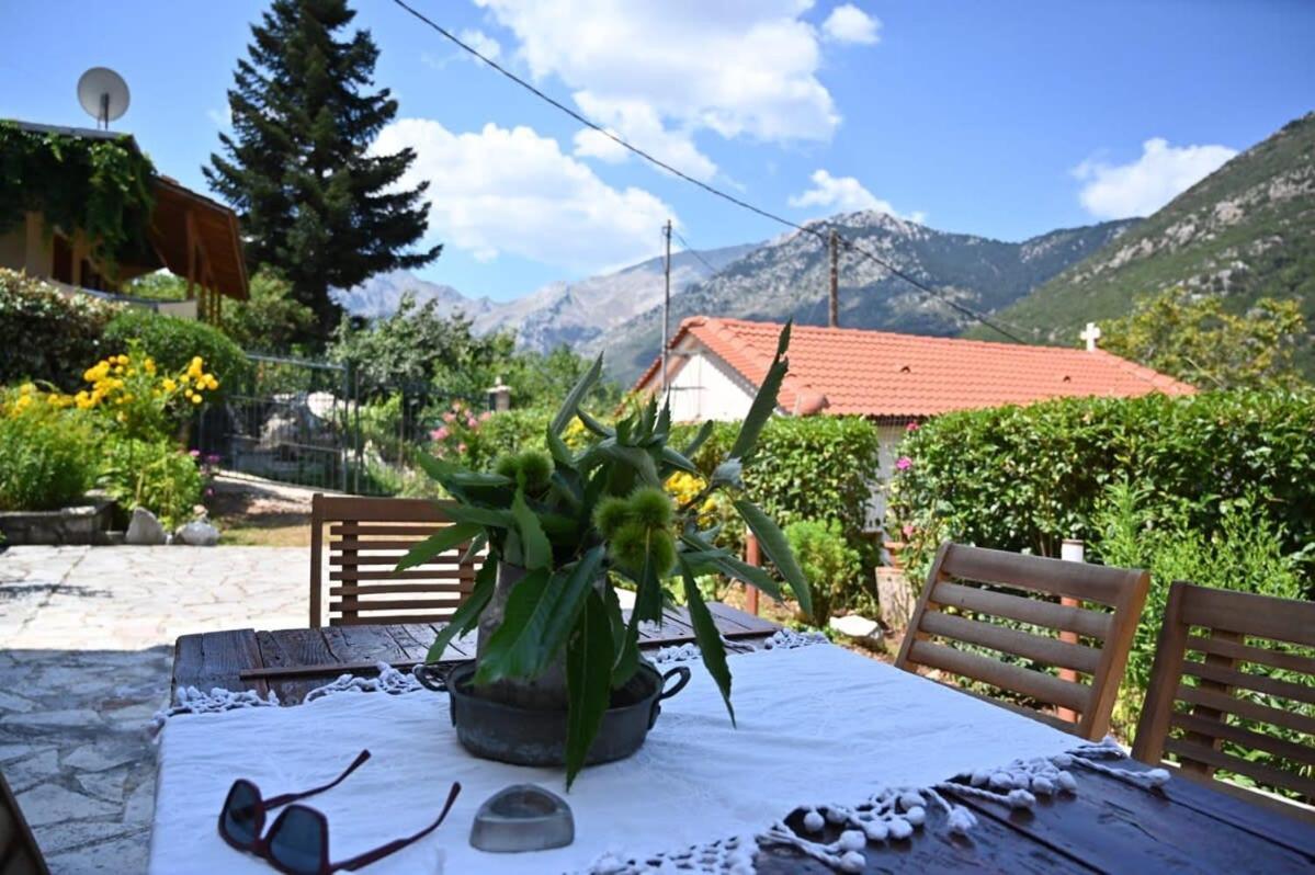 Kalavrita Winter Retreat - Homely Spacious Chalet Áno Vlasía Екстериор снимка